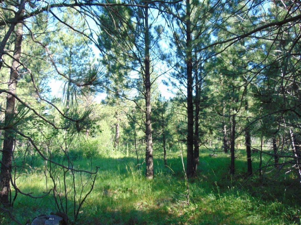 4615 Abe Lincoln Property Photo 23
