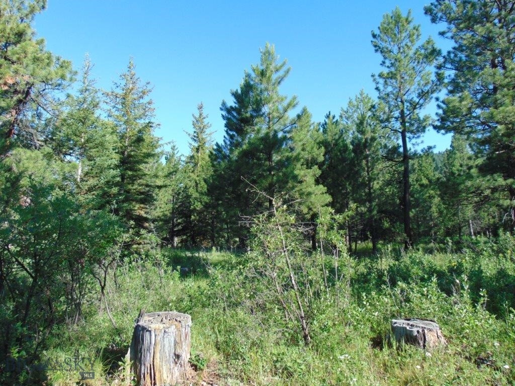 4615 Abe Lincoln Property Photo 24