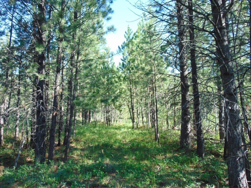4615 Abe Lincoln Property Photo 26
