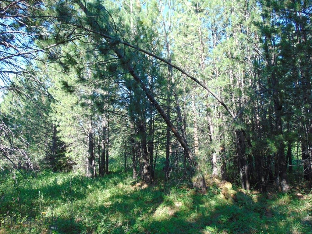4615 Abe Lincoln Property Photo 27