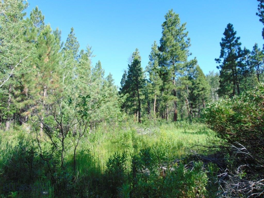 4615 Abe Lincoln Property Photo 29