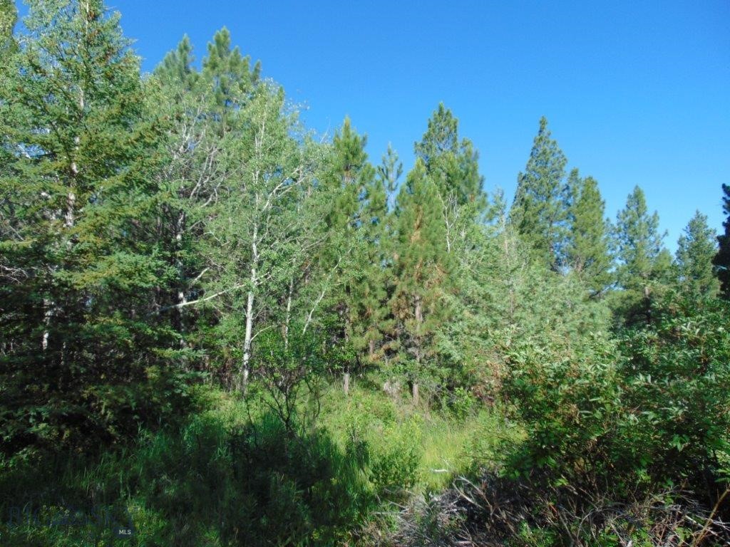 4615 Abe Lincoln Property Photo 30