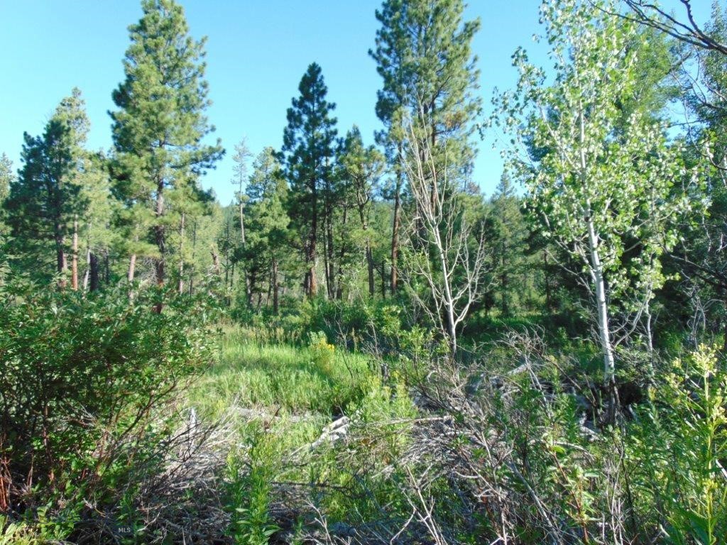 4615 Abe Lincoln Property Photo 31