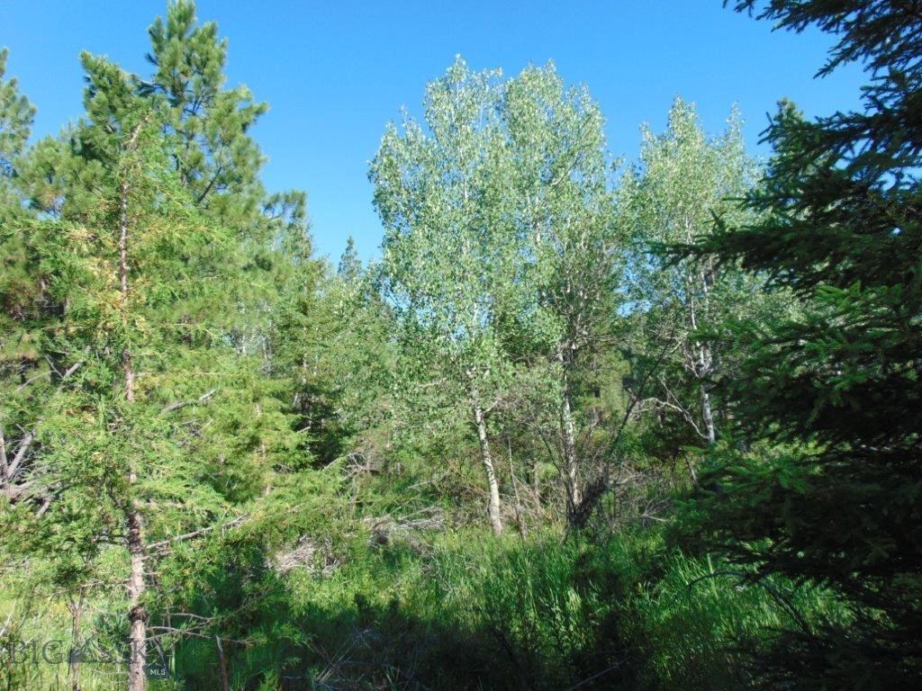 4615 Abe Lincoln Property Photo 34