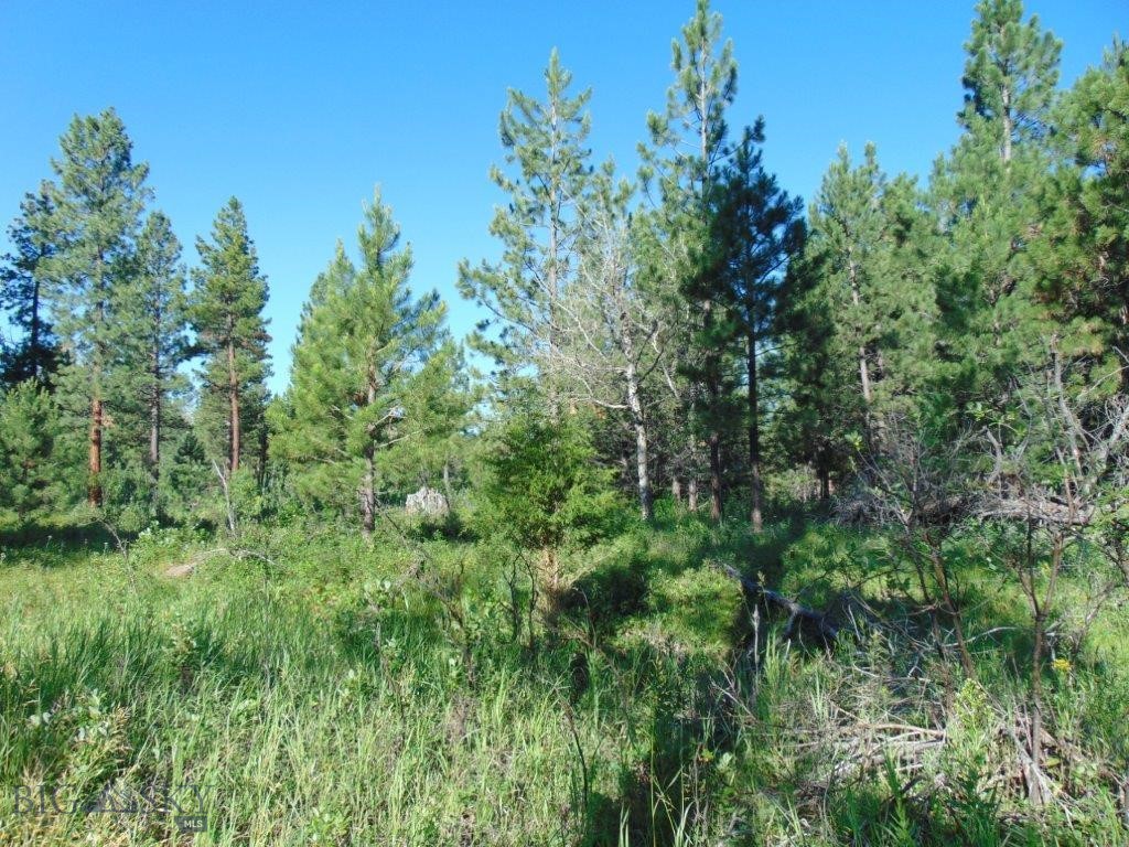 4615 Abe Lincoln Property Photo 35