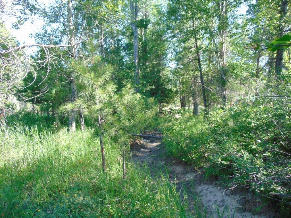 4615 Abe Lincoln Property Photo 36