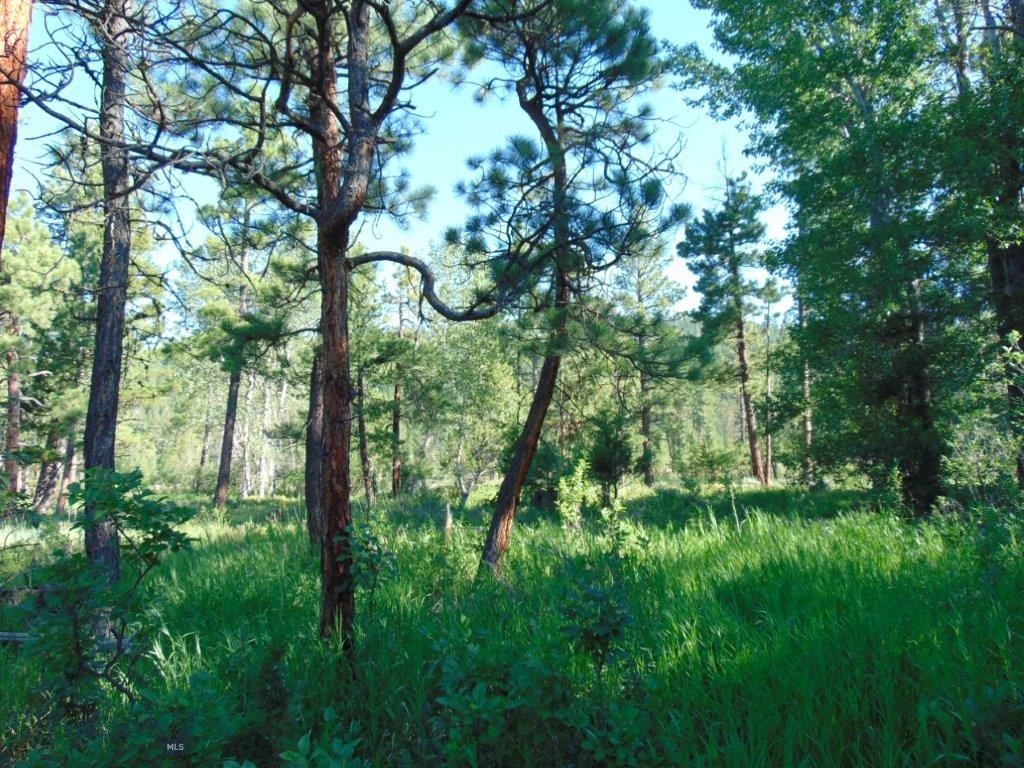 4615 Abe Lincoln Property Photo 37
