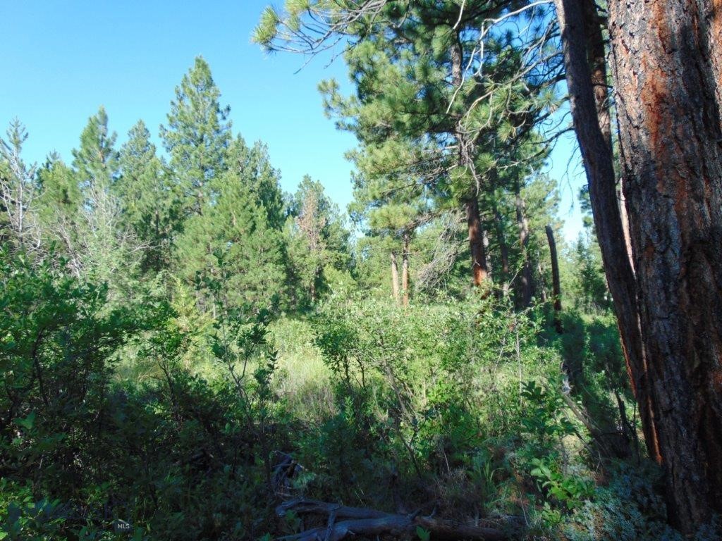 4615 Abe Lincoln Property Photo 38