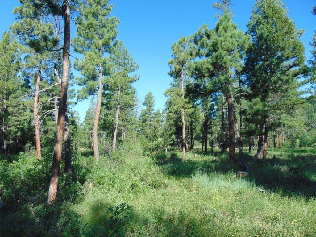 4615 Abe Lincoln Property Photo 39