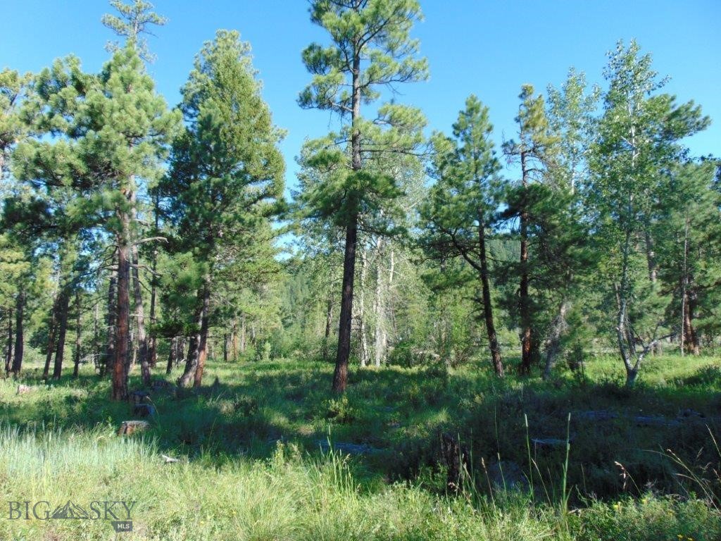 4615 Abe Lincoln Property Photo 40