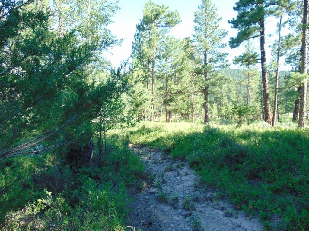 4615 Abe Lincoln Property Photo 41