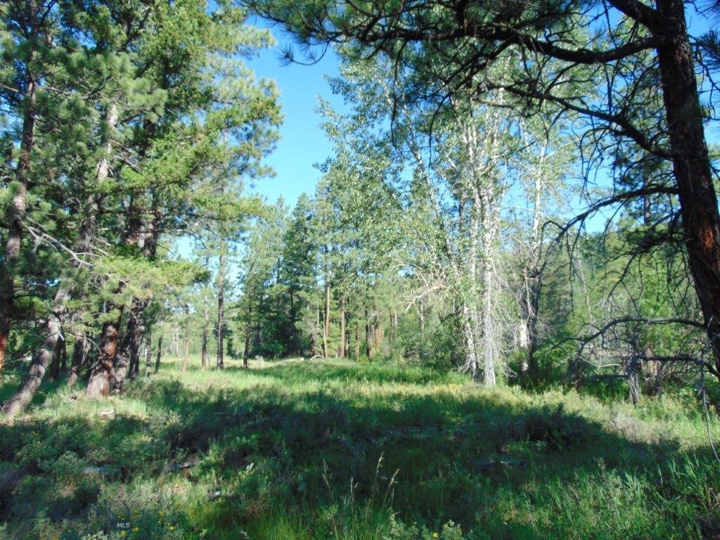 4615 Abe Lincoln Property Photo 42