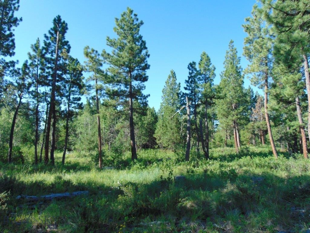 4615 Abe Lincoln Property Photo 43