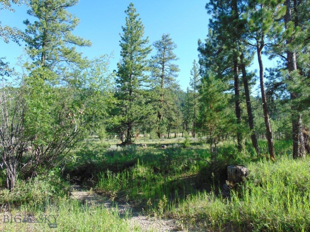 4615 Abe Lincoln Property Photo 44
