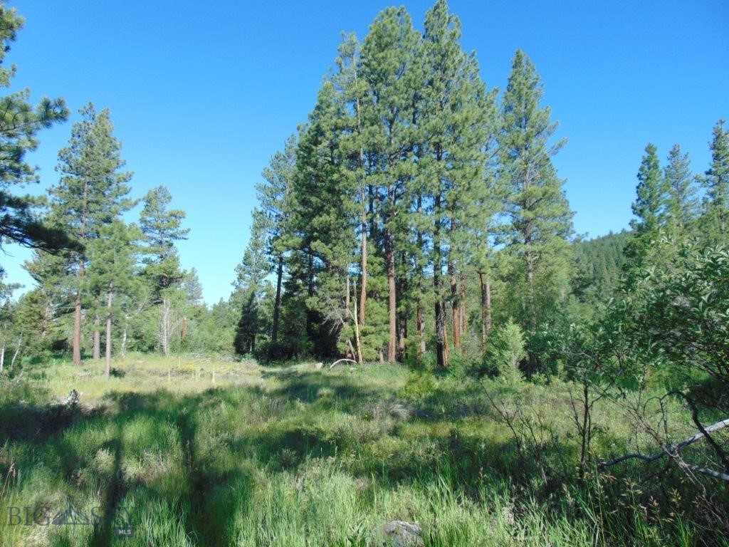 4615 Abe Lincoln Property Photo 45