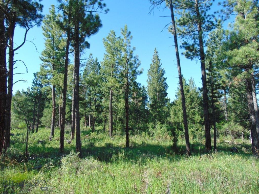 4615 Abe Lincoln Property Photo 46