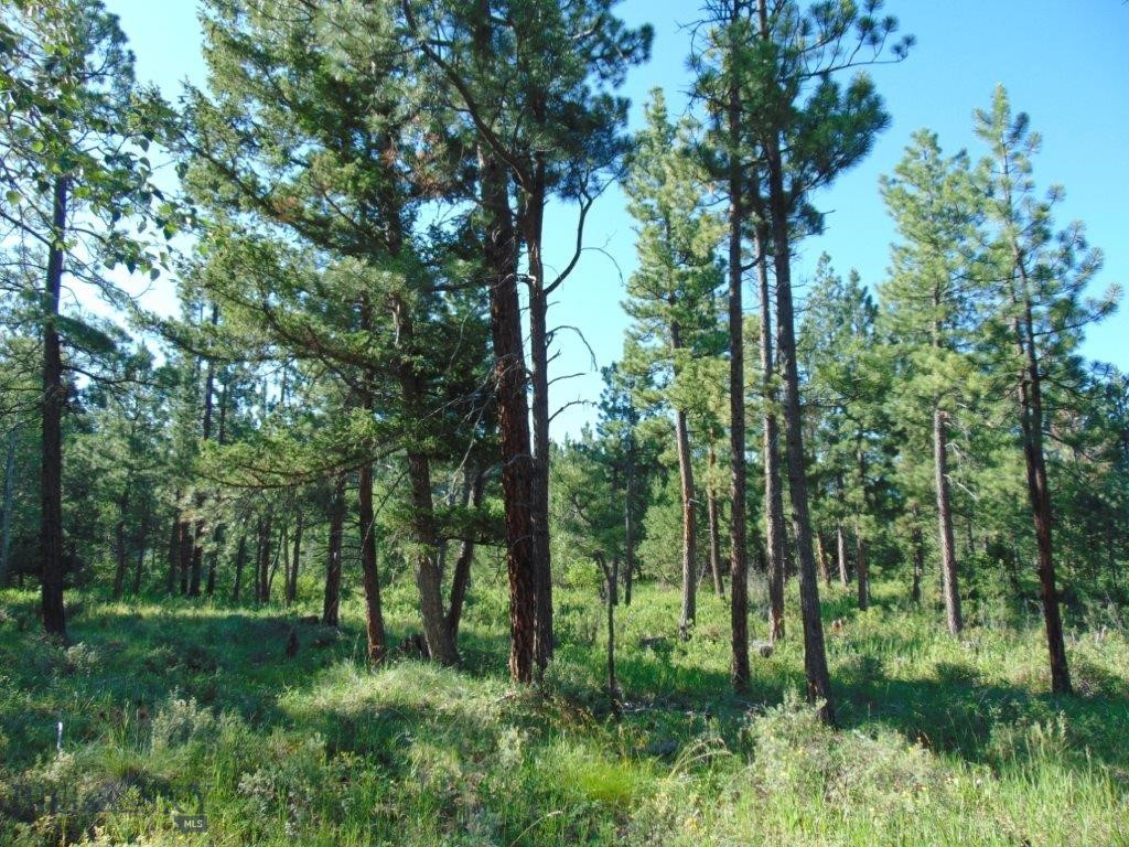 4615 Abe Lincoln Property Photo 47