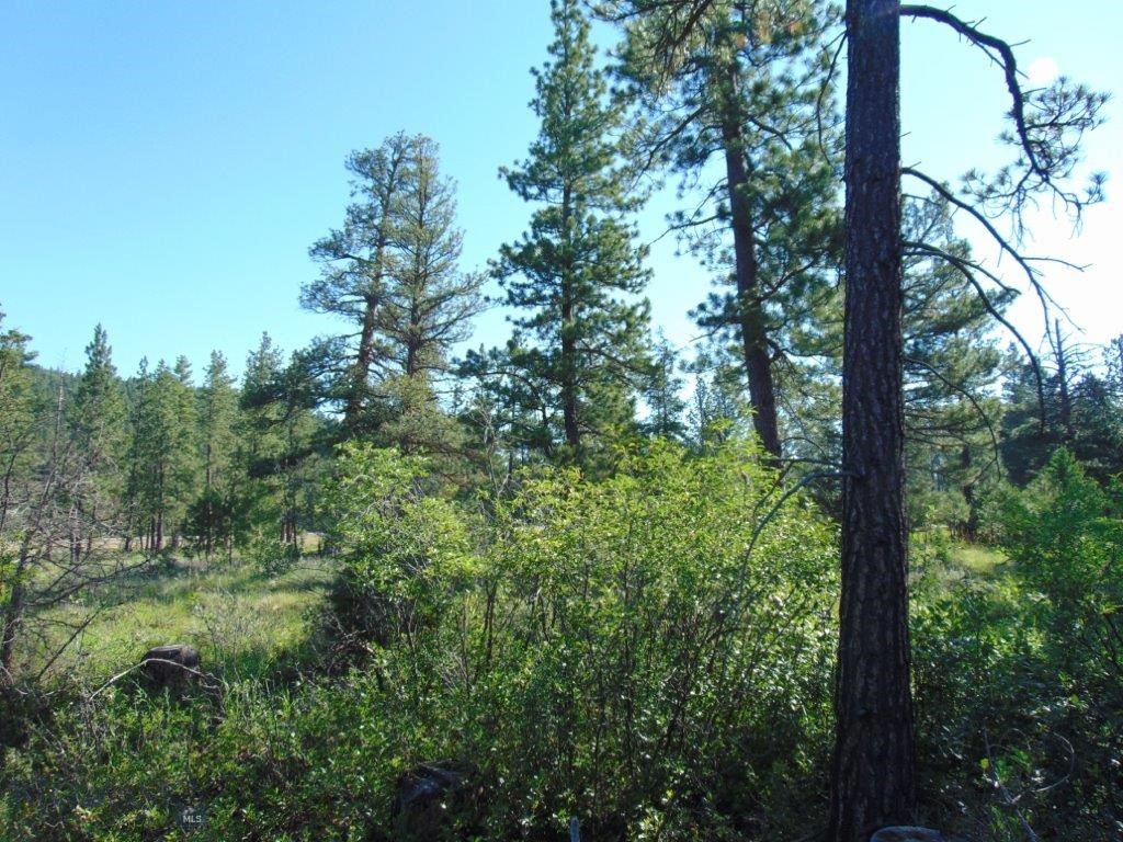 4615 Abe Lincoln Property Photo 48