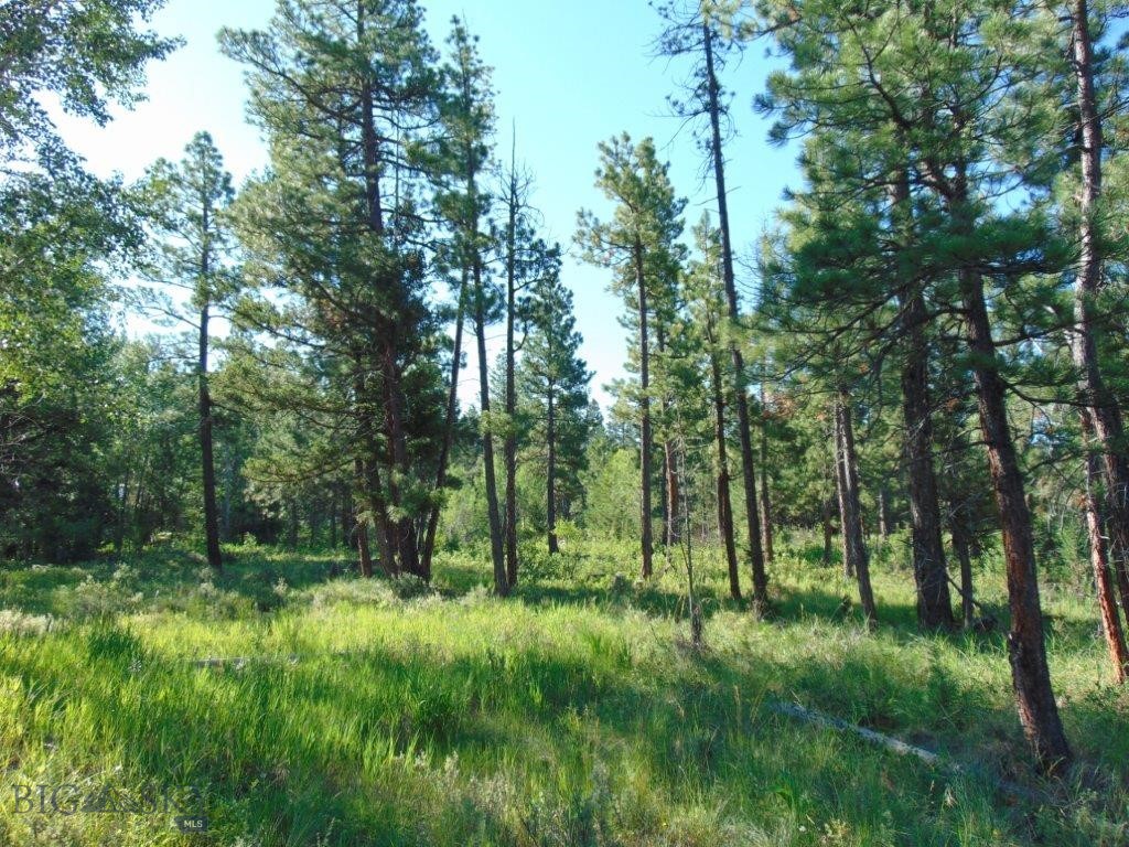 4615 Abe Lincoln Property Photo 50