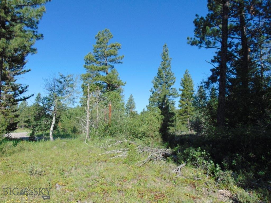 4615 Abe Lincoln Property Photo 51