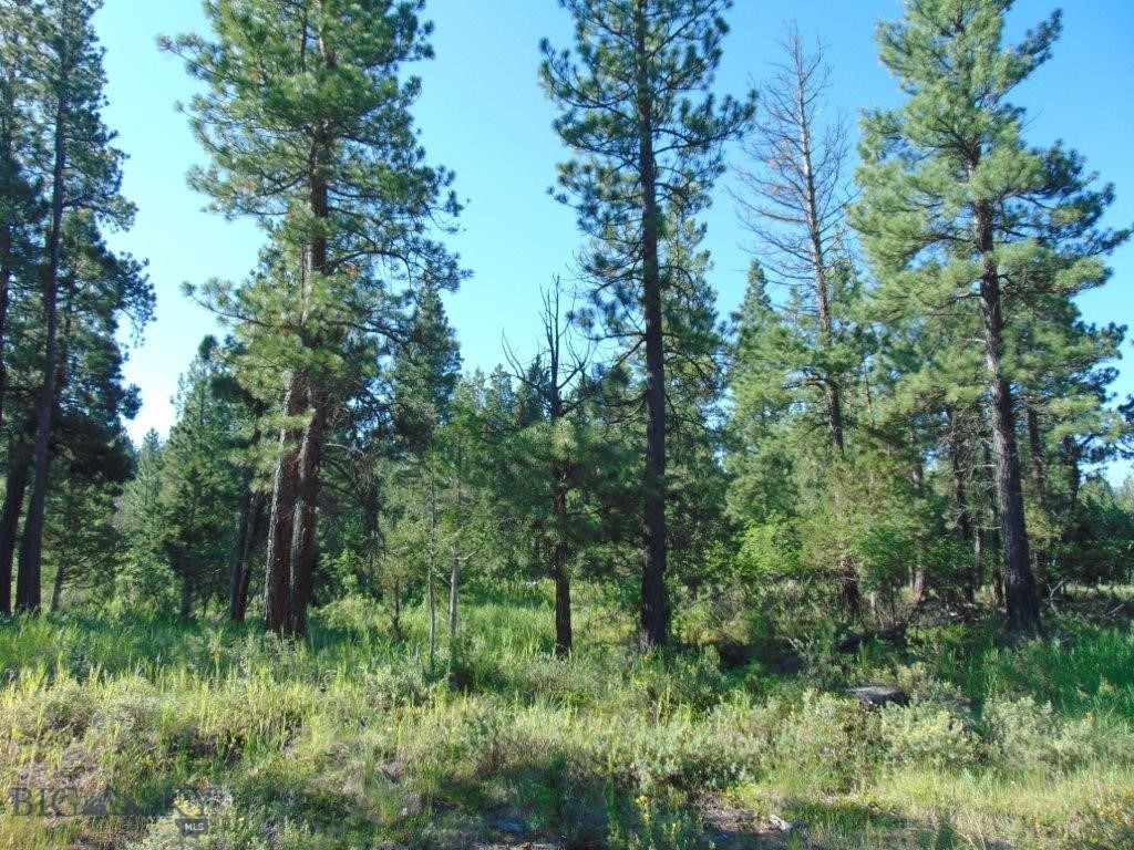 4615 Abe Lincoln Property Photo 52