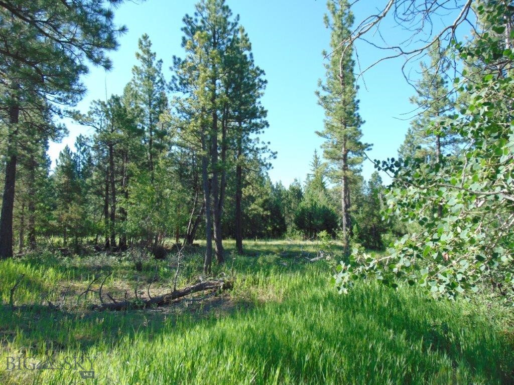 4615 Abe Lincoln Property Photo 55