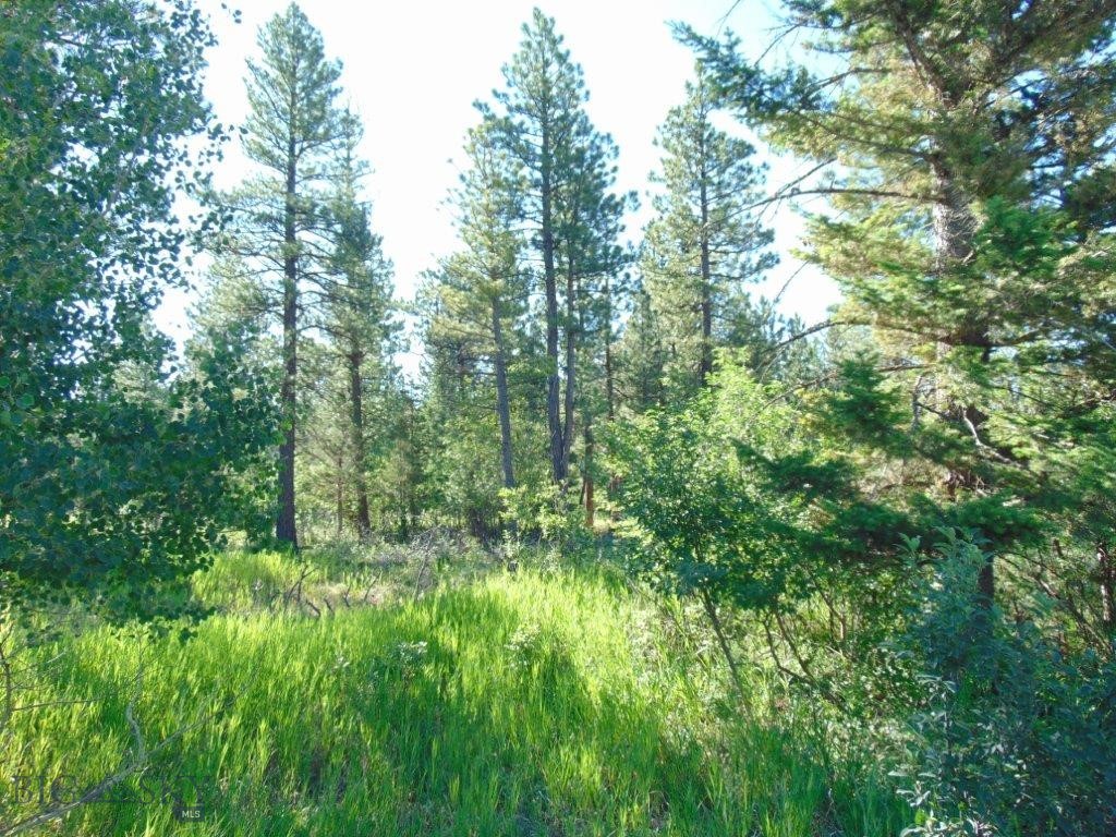 4615 Abe Lincoln Property Photo 59