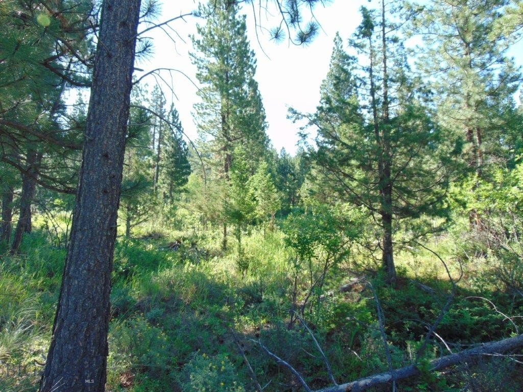 4615 Abe Lincoln Property Photo 60