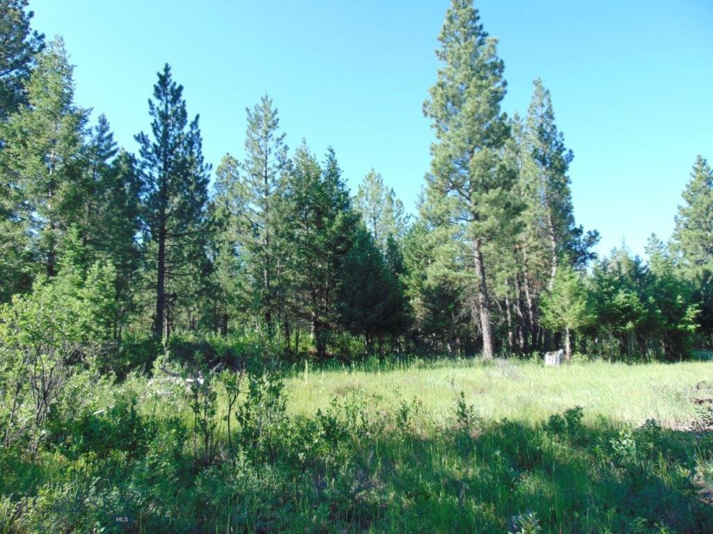 4615 Abe Lincoln Property Photo 62