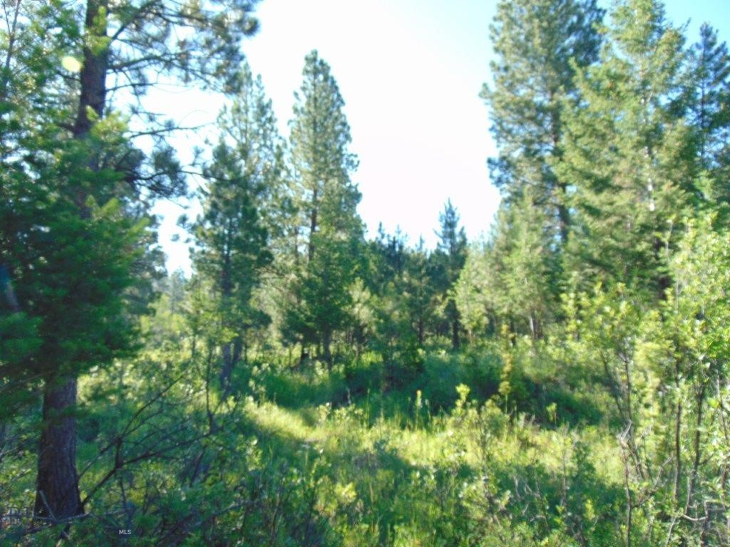 4615 Abe Lincoln Property Photo 63