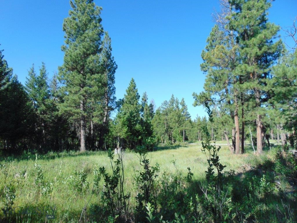 4615 Abe Lincoln Property Photo 64