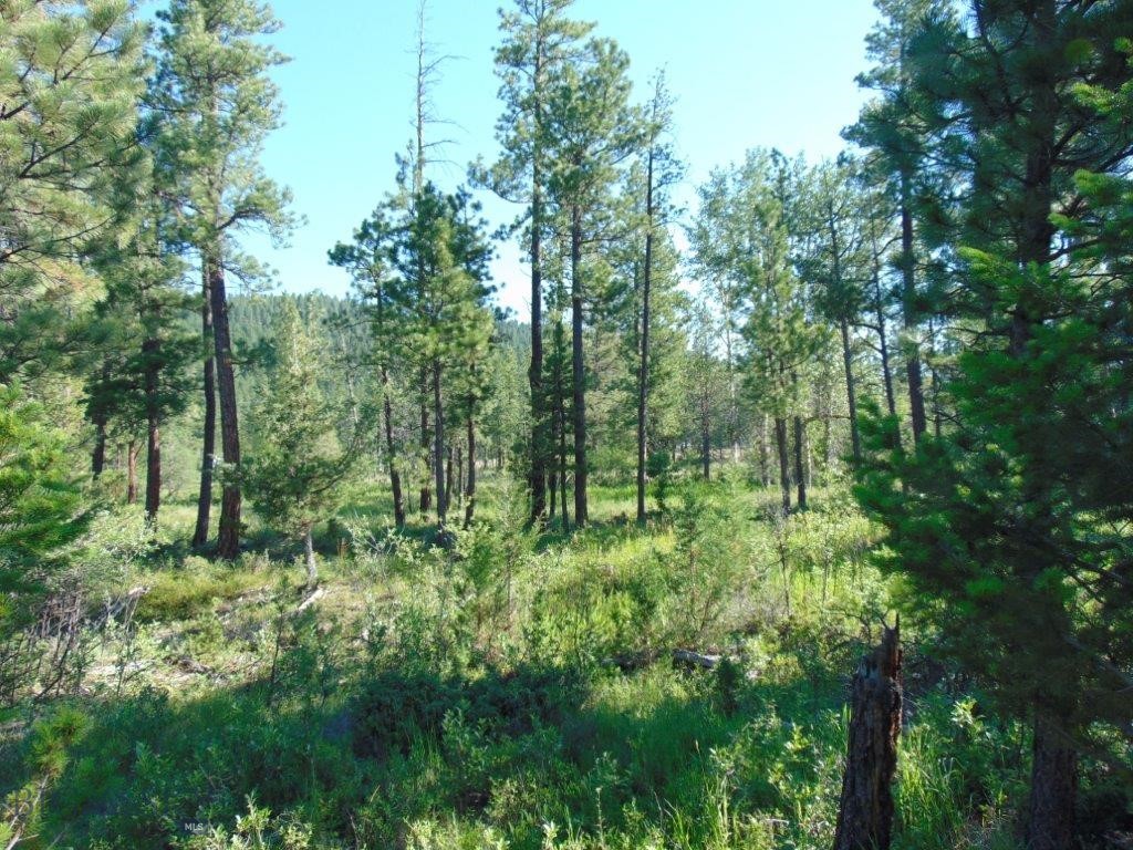 4615 Abe Lincoln Property Photo 66