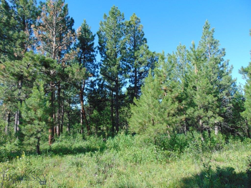 4615 Abe Lincoln Property Photo 67