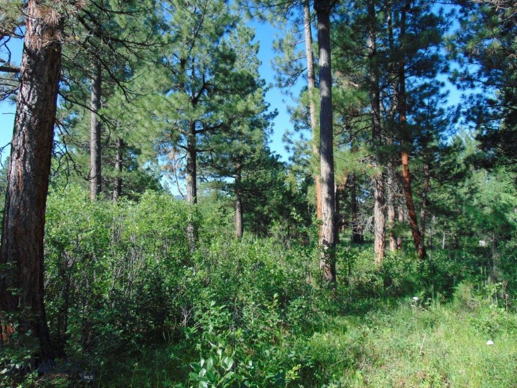 4615 Abe Lincoln Property Photo 68