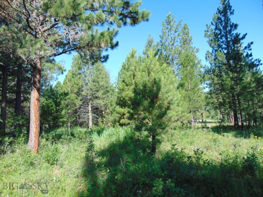 4615 Abe Lincoln Property Photo 69