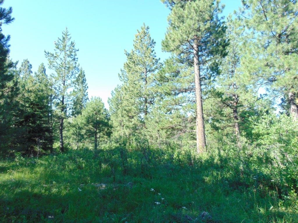 4615 Abe Lincoln Property Photo 70
