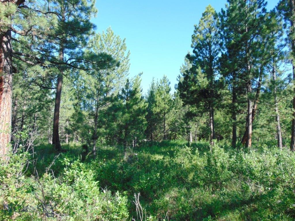 4615 Abe Lincoln Property Photo 73