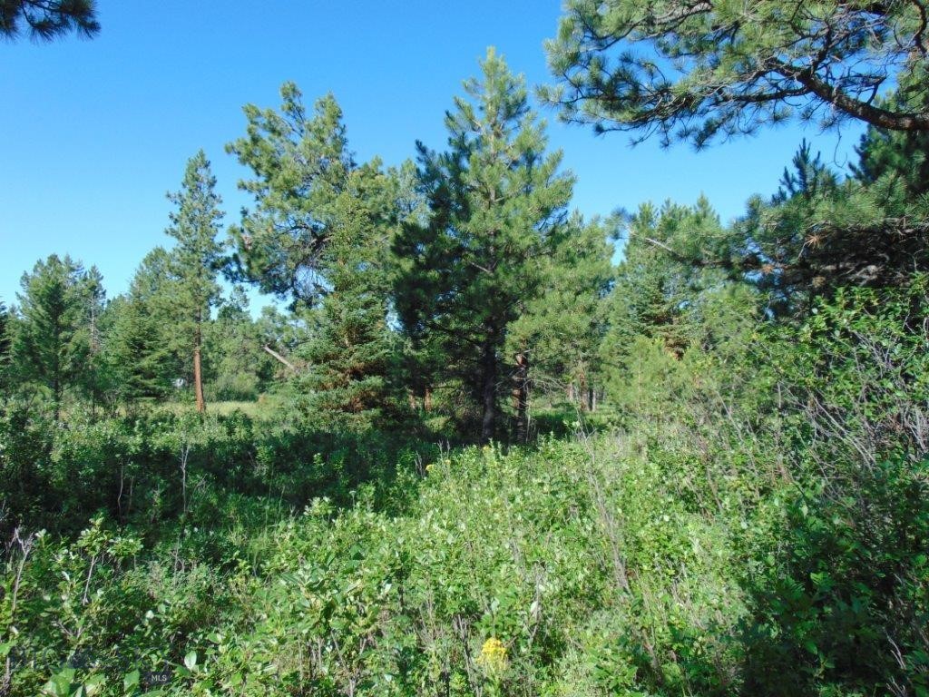 4615 Abe Lincoln Property Photo 74