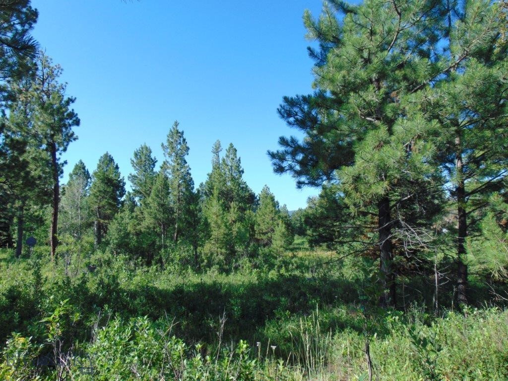 4615 Abe Lincoln Property Photo 75