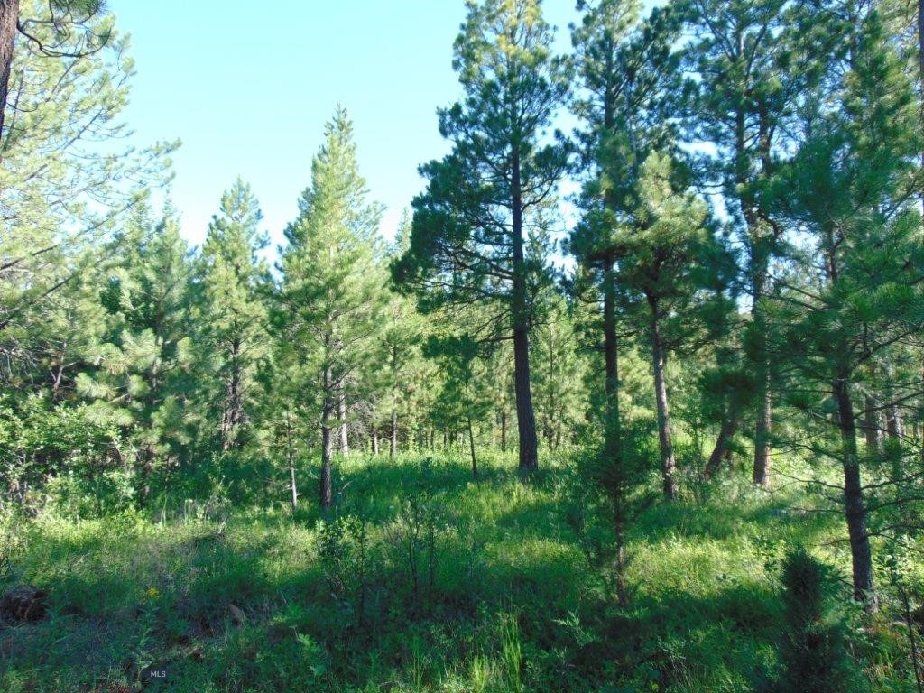 4615 Abe Lincoln Property Photo 76