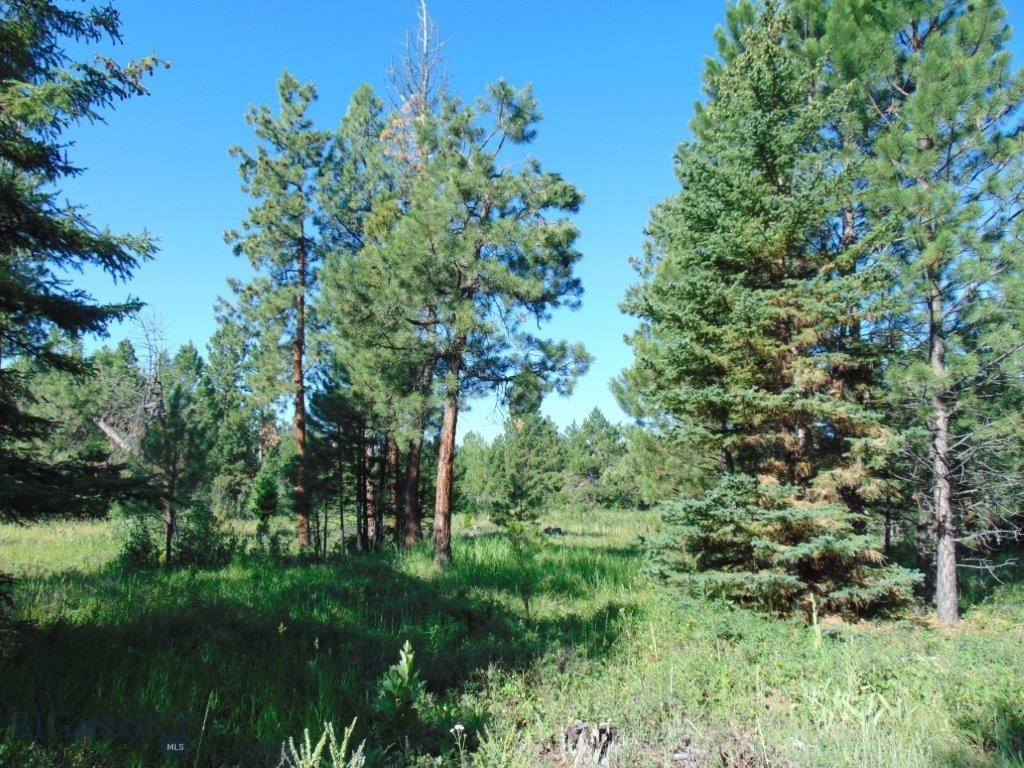 4615 Abe Lincoln Property Photo 77