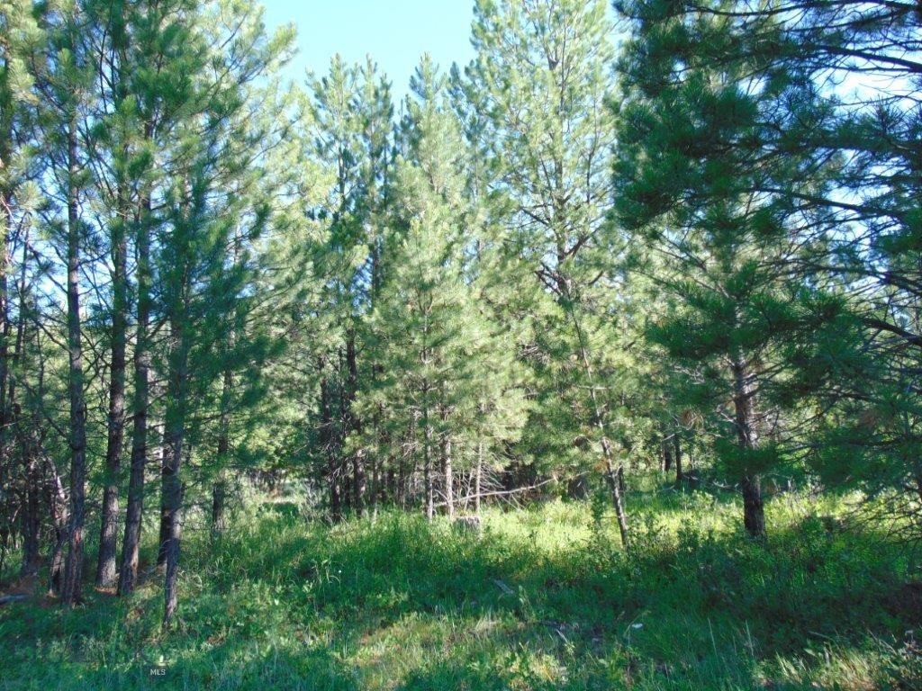 4615 Abe Lincoln Property Photo 78