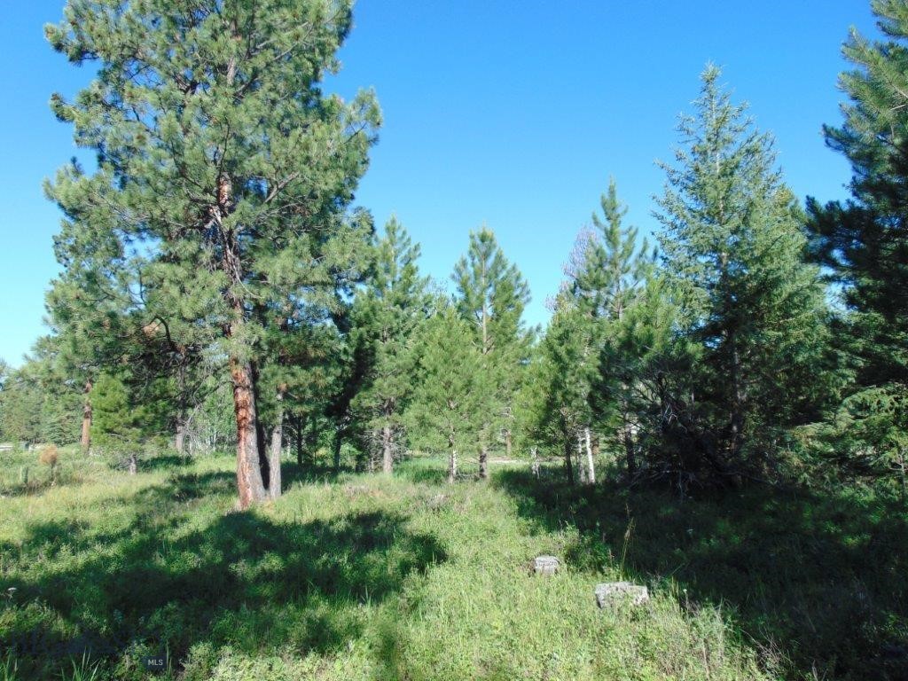 4615 Abe Lincoln Property Photo 79
