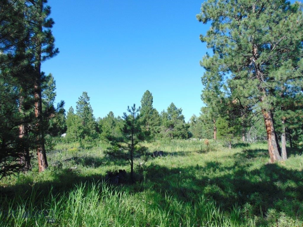 4615 Abe Lincoln Property Photo 80