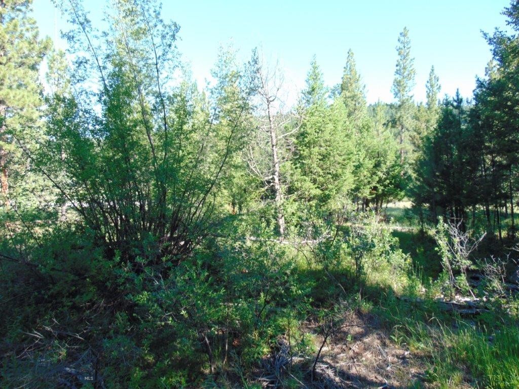 4615 Abe Lincoln Property Photo 81