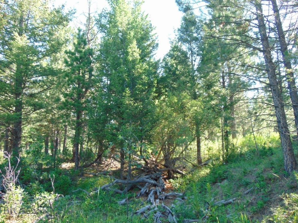 4615 Abe Lincoln Property Photo 82