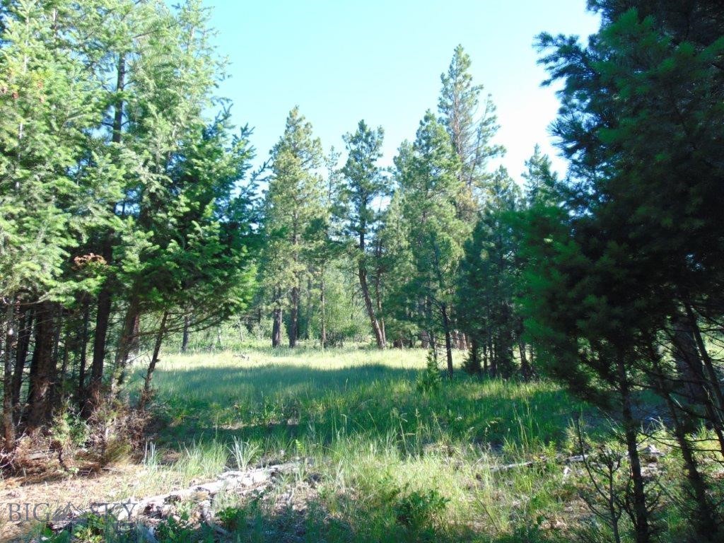 4615 Abe Lincoln Property Photo 83