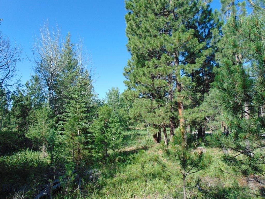 4615 Abe Lincoln Property Photo 85