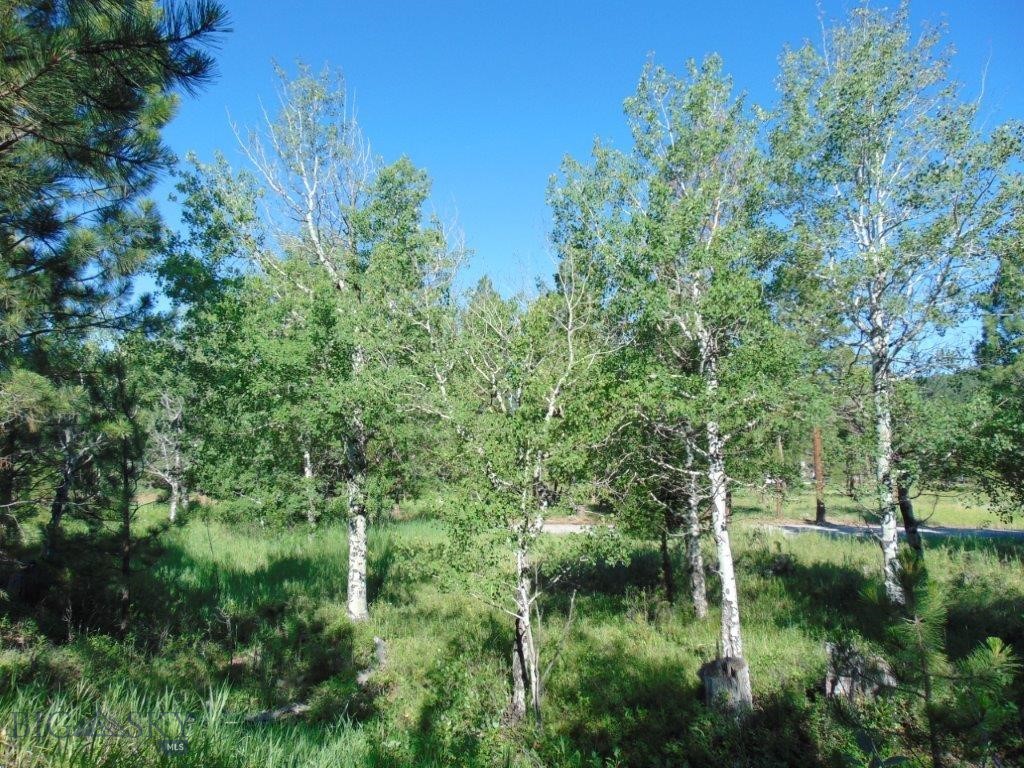 4615 Abe Lincoln Property Photo 87