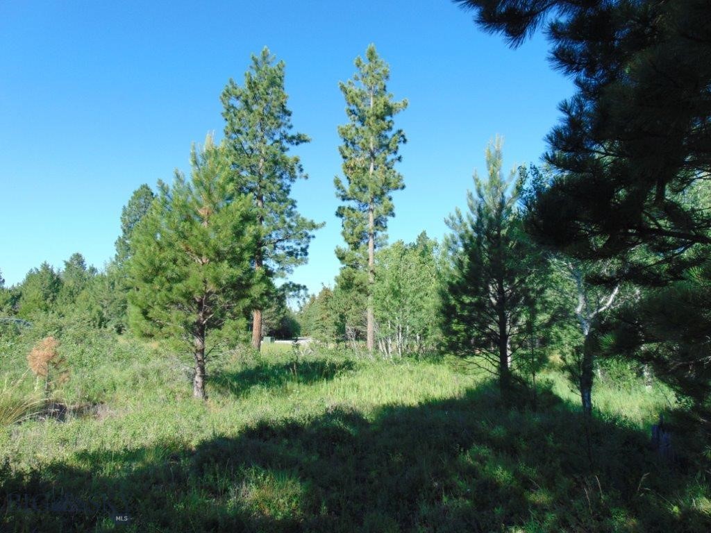 4615 Abe Lincoln Property Photo 88